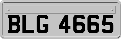 BLG4665