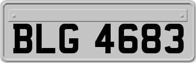 BLG4683