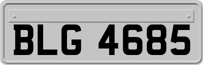 BLG4685