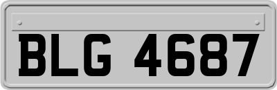 BLG4687