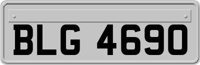 BLG4690