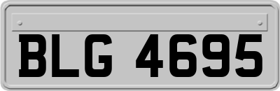 BLG4695