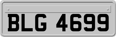 BLG4699