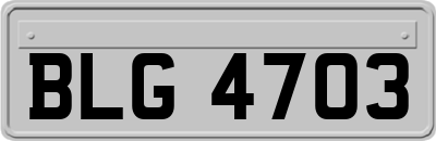BLG4703