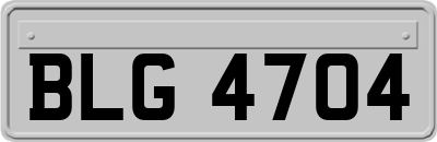 BLG4704
