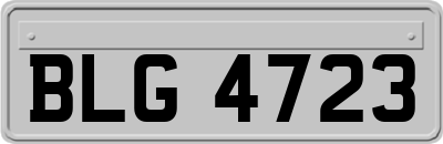 BLG4723