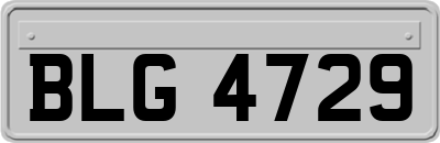 BLG4729