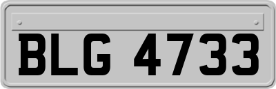 BLG4733
