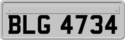 BLG4734