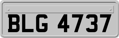 BLG4737