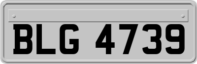 BLG4739