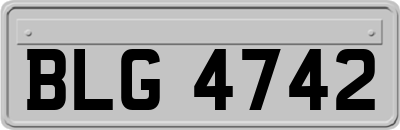 BLG4742