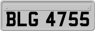BLG4755