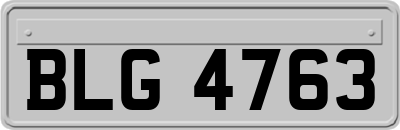 BLG4763
