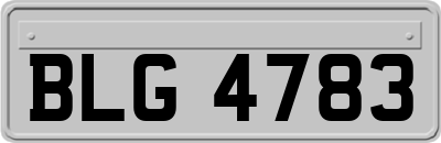 BLG4783