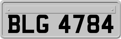 BLG4784