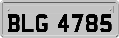 BLG4785