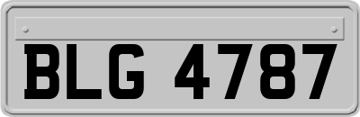 BLG4787