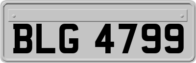 BLG4799