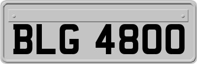 BLG4800