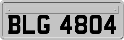 BLG4804