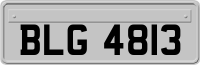 BLG4813