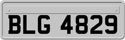 BLG4829