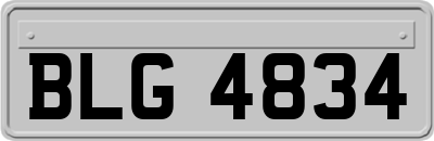 BLG4834