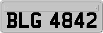 BLG4842