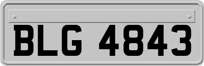 BLG4843