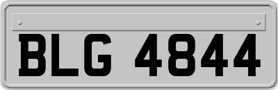 BLG4844