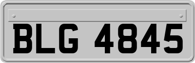 BLG4845