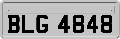 BLG4848