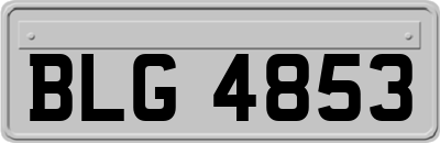 BLG4853