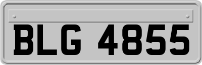 BLG4855