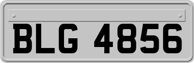 BLG4856