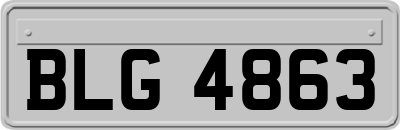 BLG4863