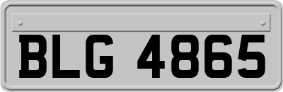 BLG4865
