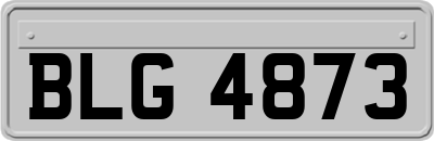 BLG4873