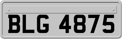 BLG4875