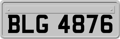BLG4876