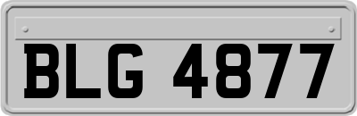 BLG4877