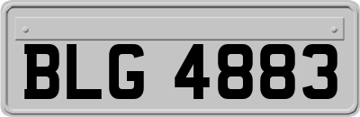 BLG4883