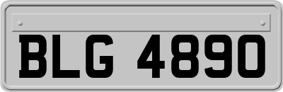 BLG4890