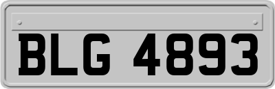 BLG4893