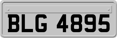 BLG4895