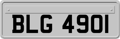 BLG4901