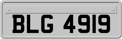 BLG4919