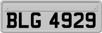 BLG4929