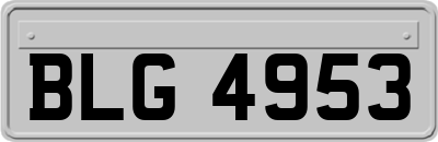 BLG4953